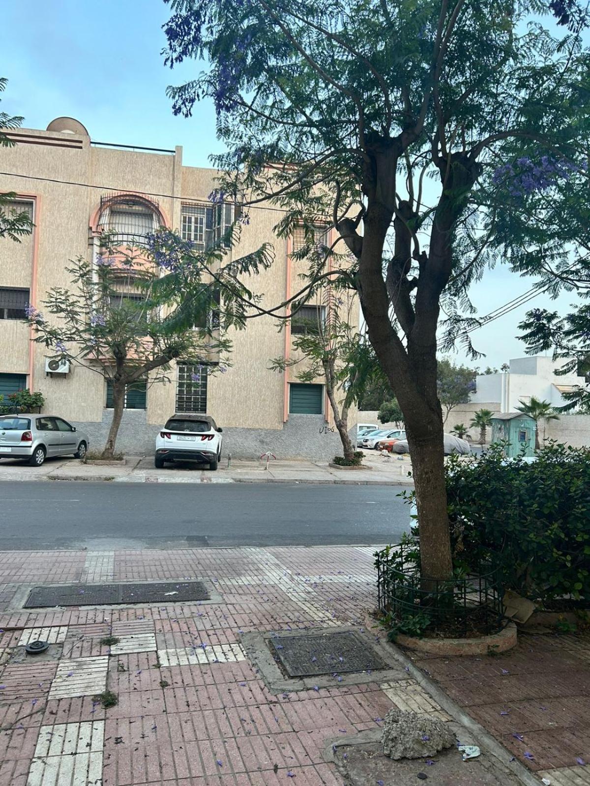Sidi Youssef Bloc C3 219 Apartment *